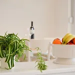 Spacious Chic Appartement