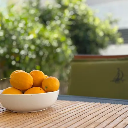 Lejlighed Spacious Chic Zadar