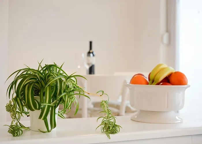 Spacious Chic Apartament