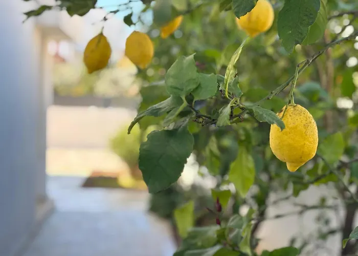 Spacious Chic Apartament Zadar