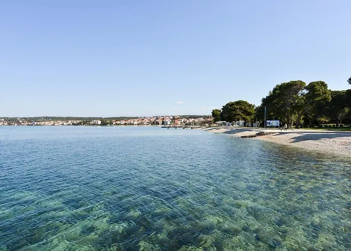 Apartament Spacious Chic *